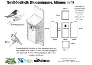 Guide till fågelholkar med ritningar - Rikare trädgård