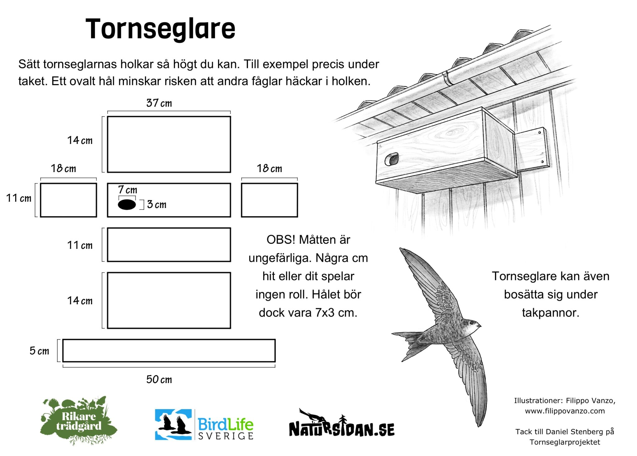 Guide till fågelholkar med ritningar - Rikare trädgård