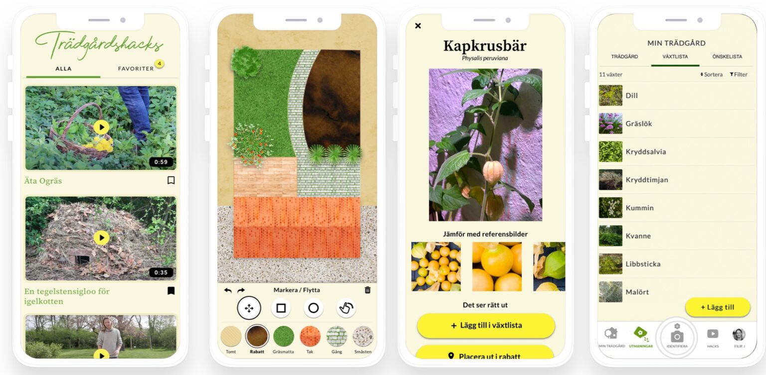 App För Att Identifiera Växter